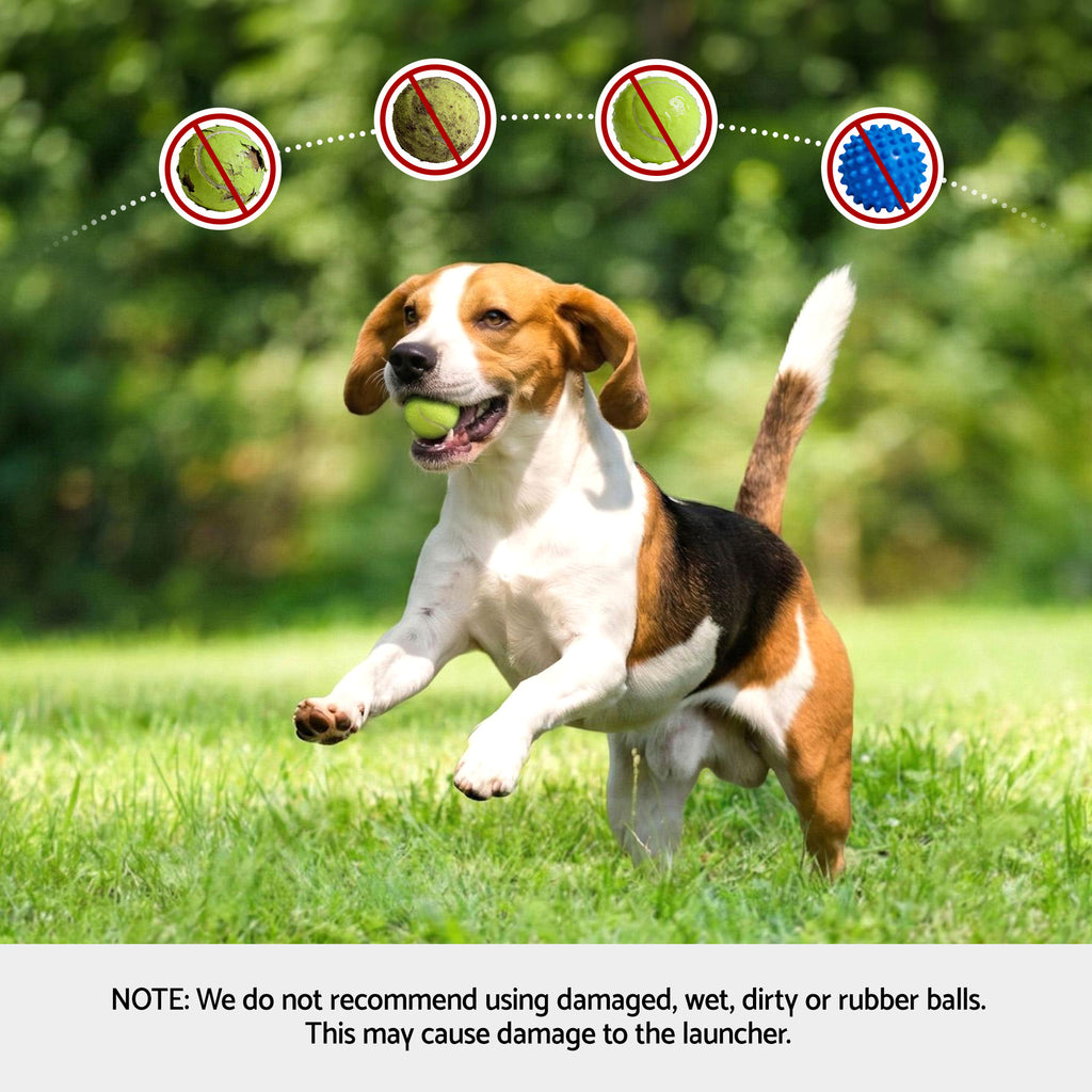 Automatic Dog Ball Launcher — 6 Balls, 3/6/9m Throw Distance