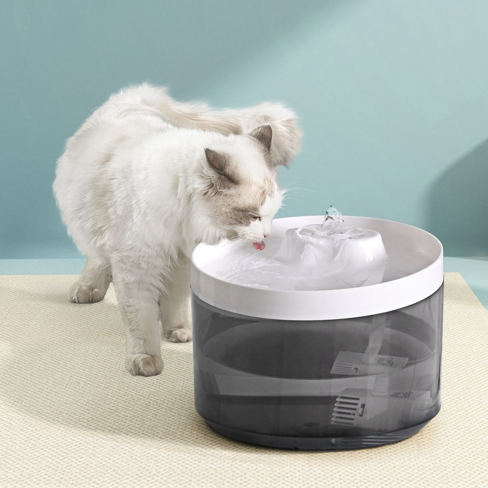 2L Pet Water Fountain — Filtered Automatic Drinking Dispenser