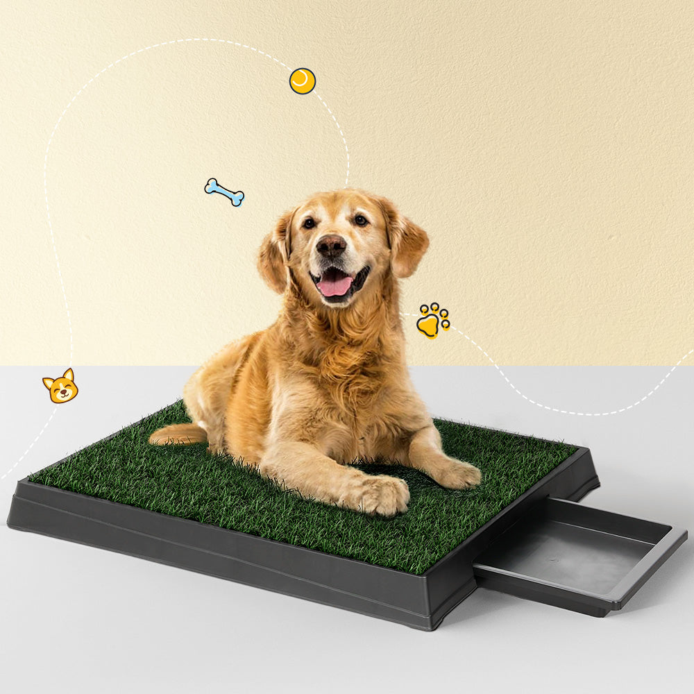 Indoor Dog Grass Potty — Portable Toilet Tray with Artificial Turf