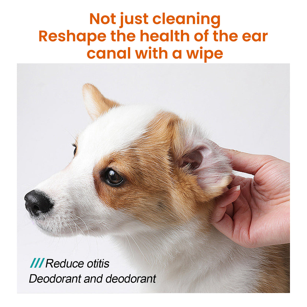 Pet Ear Cleaning Wipes - view 11