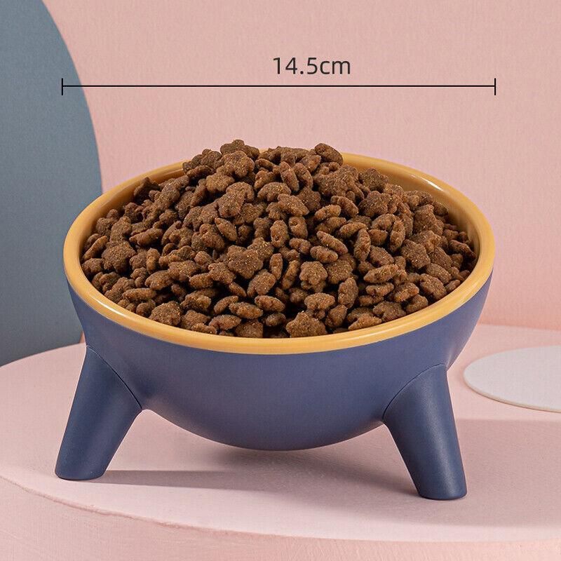 Raised Ceramic Cat Bowl — Tilted Elevated Feeder (Blossom Pink)