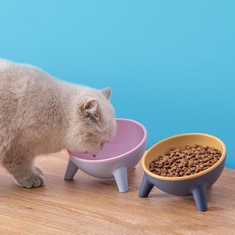Raised Ceramic Cat Bowl — Tilted Elevated Feeder (Blossom Pink)