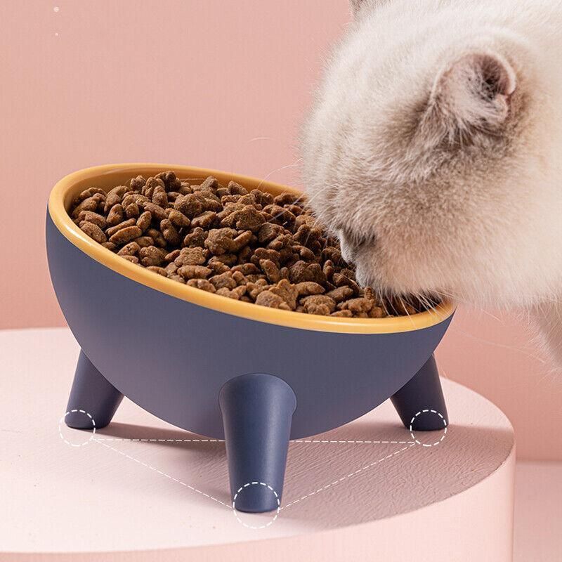 Raised Ceramic Cat Bowl — Tilted Elevated Feeder (Blossom Pink)