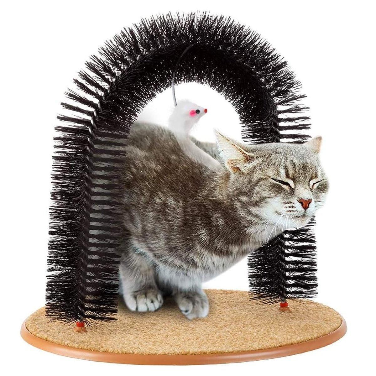 Arch Self-Groomer for Cats — Scratching & Massage Brush