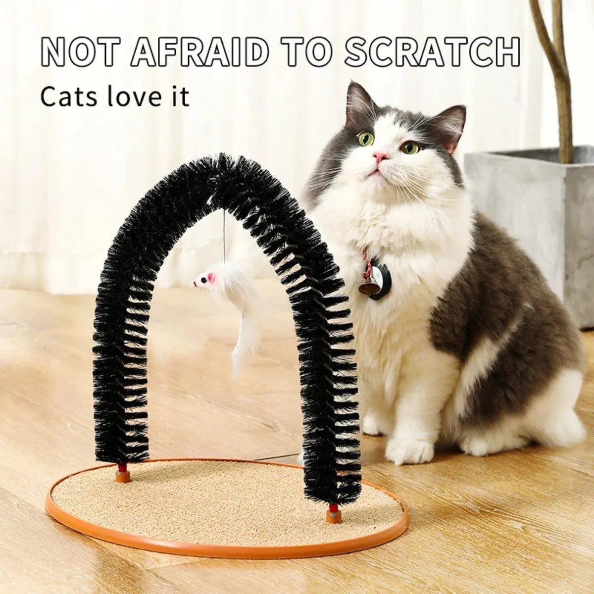 Arch Self-Groomer for Cats — Scratching & Massage Brush