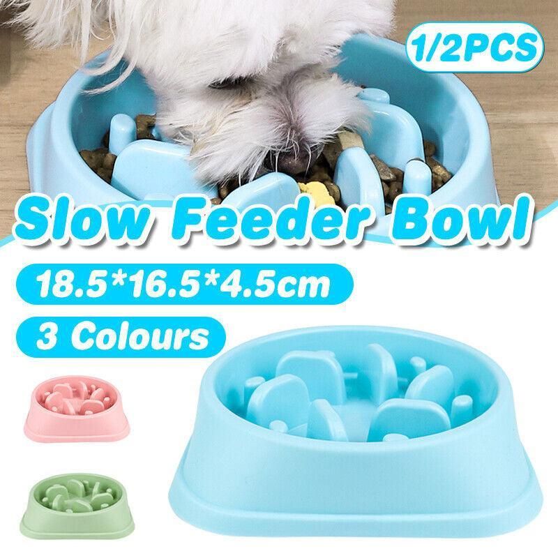 Slow Feeder Dog Bowl — Large, Non-Slip (Green)
