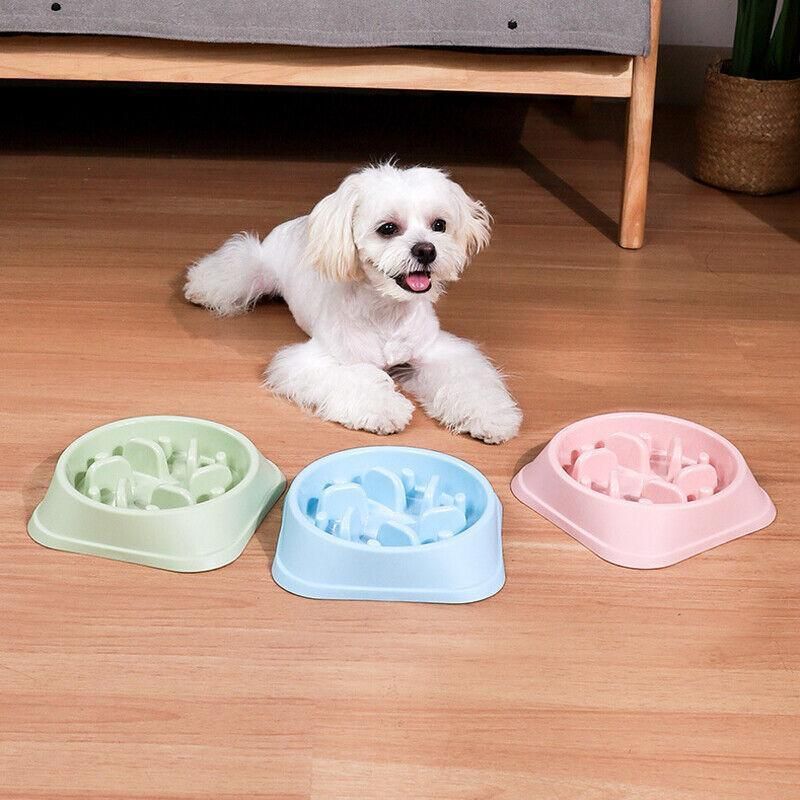 Slow Feeder Dog Bowl — Large, Non-Slip (Green)