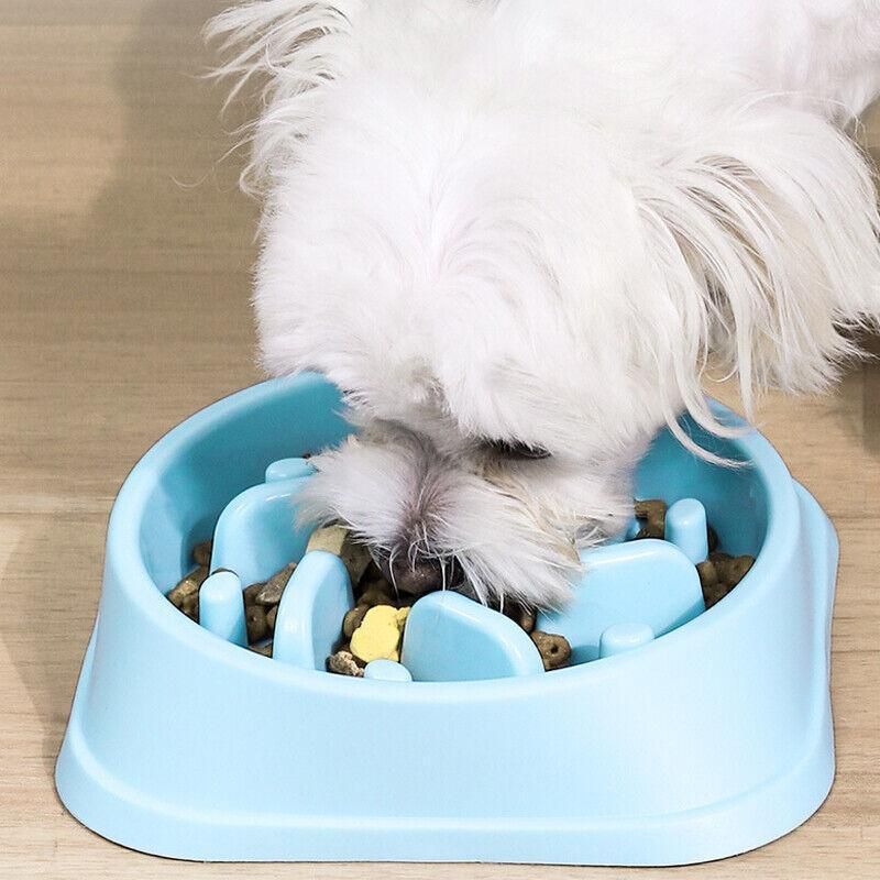 Slow Feeder Dog Bowl — Large, Non-Slip (Green)