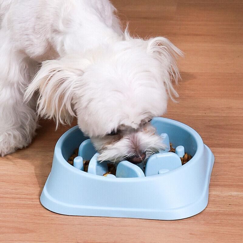 Slow Feeder Dog Bowl — Large, Non-Slip (Green)
