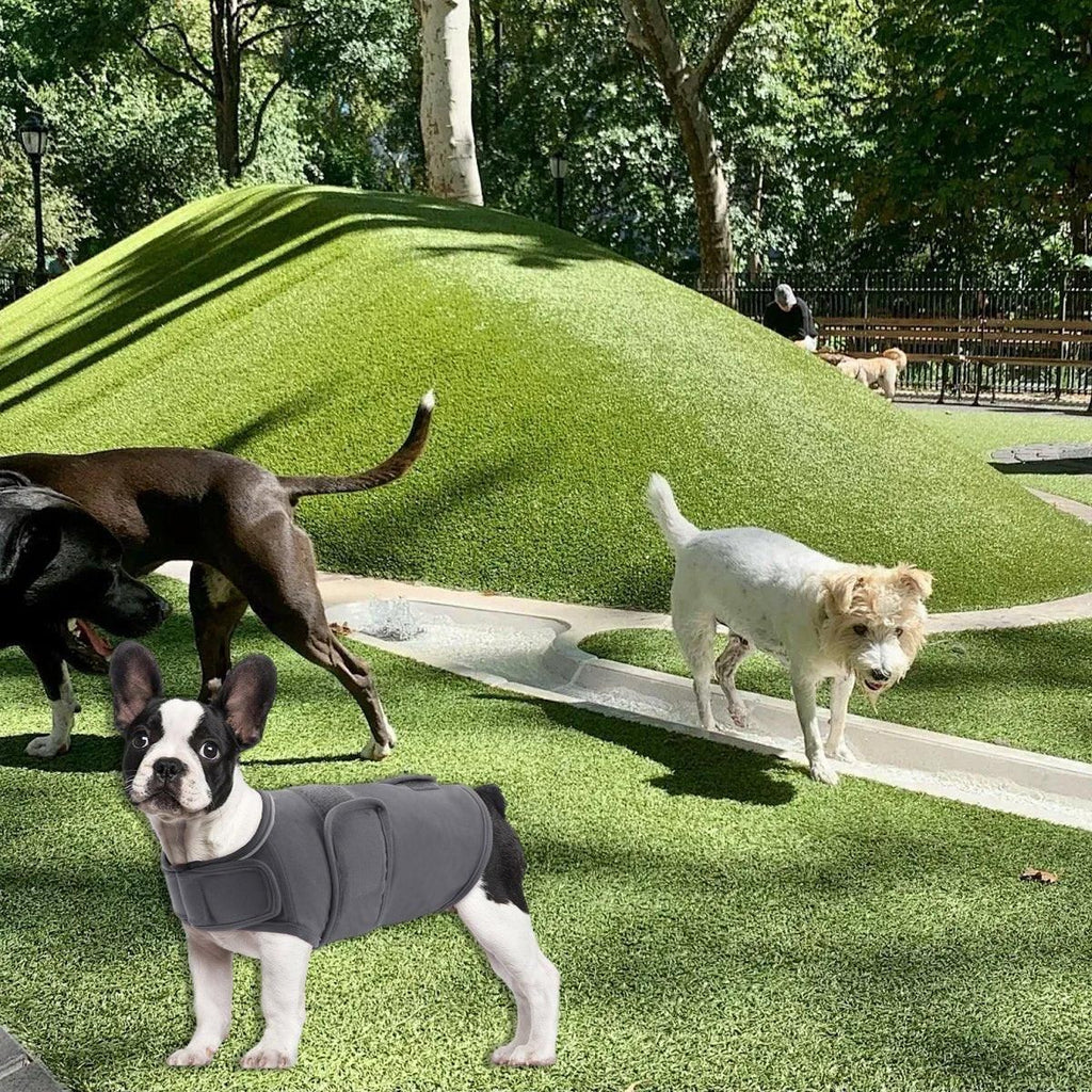 Calming Anxiety Vest for Dogs - view 9