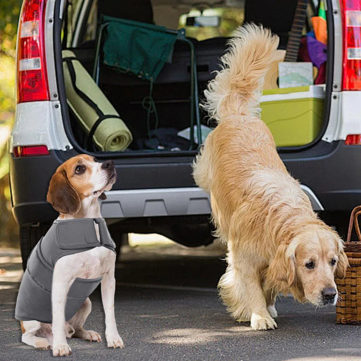 Calming Anxiety Vest for Dogs - view 10